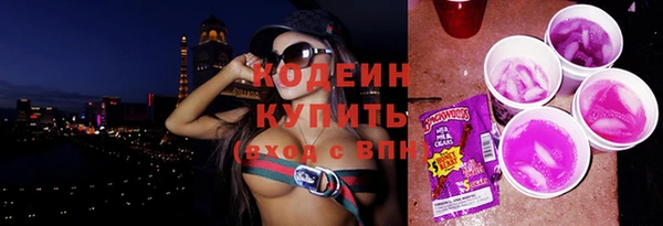 тгк Абаза
