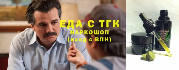 тгк Абаза
