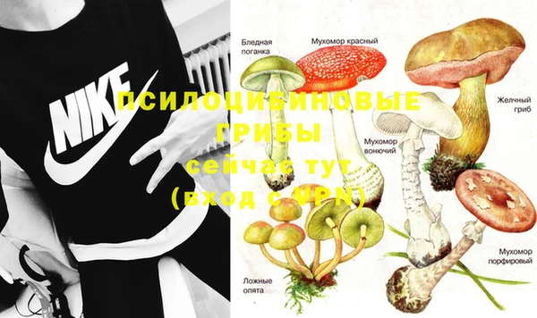 твердый Абинск