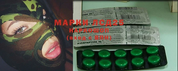 тгк Абаза