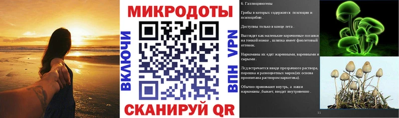 Псилоцибиновые грибы Psilocybine cubensis Юрюзань